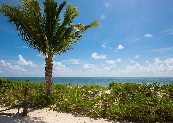 Boutique Oceanfront Aparthotel *